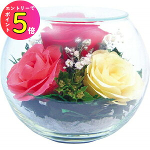 [Gg[P+5{] g[G[ p-5r-m sAt[ (8855864001760) ~bNX [Y o KN  v[gMtg LOi oYj o^C ̓ NX}X