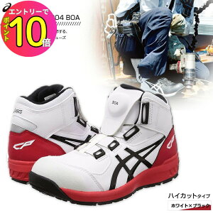 [9Gg[P10{!] SC AVbNX ƌCEBWu CP304 Boa 1271A030 100 zCg×ubN 22.5cm`30.0cm nCJbg^Cv 3E JSAA Ac ϊ\[ fuzeGEL SC ƌC 