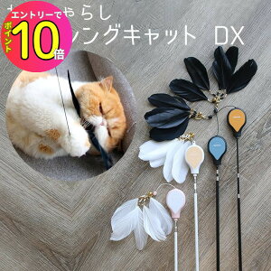 [10Gg[P10{!] L̂ ˂炵 utBbVOLbg DXv AW-C-020 ybgpi xp[gi[