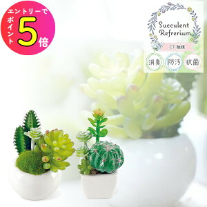[Gg[P+5{] LV} TLgtE LA[eBtBVO[ SUCCULENT REFRERIUM ARTIFICIAL GREEN tFCNO[