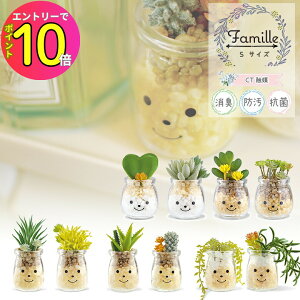 [10Gg[P10{!] ϗtA tFCNA C~e[VO[ t@~[ L R A[eBtBVO[ STCY FAMILLE-S ARTIFICIAL GREEN tFCNO[ gC  