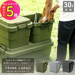 [|Cgő15{] gNJ[S TC-30S X^bLO^Cv Rei[ e30L 3FIׂ܂(O[ O[ ubN) X [P[X