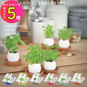 [|Cgő15{] ƒ؉ EG-57 GbOO Iׂ6ނ̃Cibv(~g oW JN^X ChXgx[ N[o[ `ybp[) V|