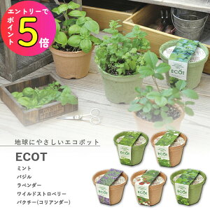 [|Cgő15{] ƒ؉ GD-410 GRbgS 5ނIׂ܂(~g oW x_[ ChXgx[ pN`[) V|