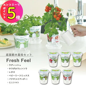 [|Cgő15{] ƒ؉ GD-819 tbVtB[ 6ނIׂ܂(~jg}g12`6݂̂̔̔ł) V|