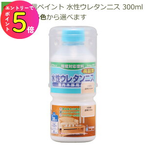 [|Cgő15{] aMyCg E^jX 300ml