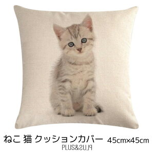 NbVJo[ qL ˂ 45x45cm L lR ӂӂmӂ L  킢 Aj} NbV CeA s[P[X G v[g [ցy  z