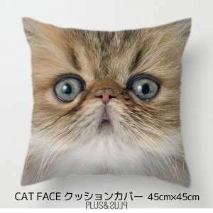 �N�b�V�����J�o�[ �Ԃ�����L �͂Ȃ؂���L �l�R �L �˂� 45x45cm ���A�� ������� ���킢�� �A�j�}�� �N�b�V���� �C���e���A �s���[�P�[�X �G�� ���[���ցy �������� �z