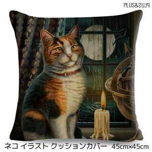 NbVJo[ 45×45cm L lR ˂ L OєL ݂˂ ~XeAX ̉J~葋  킢 Aj} NbV CeA s[P[X G [ցy  z