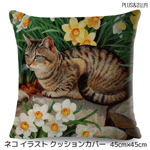 NbVJo[ 45×45cm glR ԂƔL XCZ Ƃ˂ L lR ˂ L  킢 Aj} NbV CeA s[P[X G [ցy  z