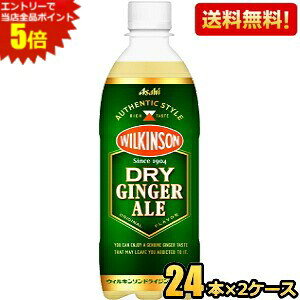 Gg[őSi|Cg5{yzyhCzATq EBL\ hCWWG[ 500mlybg{g 48{(24{×2P[X) WW[G[ DRY GINGER ALE h ̂܂܂ł