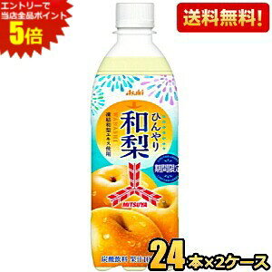 Gg[őSi|Cg5{yzATq Oc Ђa 500mlybg{g 48{(24{×2P[X) OcTC_[ Ȃ iV Ђ藜 kC800~Ek400~̕ʓrZ