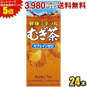 エントリーで当店全品ポイント5倍★伊藤園 健康ミネラルむぎ茶 250ml紙パック 24本入 (麦茶) asu