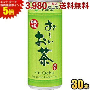 Gg[œXSi|Cg5{ɓ ` Β 245g 30{ [