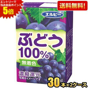 Gg[őSi|Cg5{yzGr[ Ԃǂ100 125mlpbN 60{(30{×2P[X) ʏ`100%W[X ݐ؂TCY O[vW[X ԂǂW[X kC800~Ek400