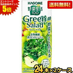 Gg[Ń|Cg5{yzJS ؐ100 O[T_ 200mlpbN 48{(24{×2P[X) ؃W[X X[p[[txWgp green salad H@ S JVE kC