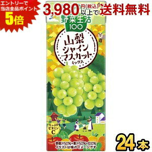 Gg[őSi|Cg5{JS ؐ100 RVC}XJbg~bNX 195mlpbN 24{ Gߌ ؃W[X ₳W[X