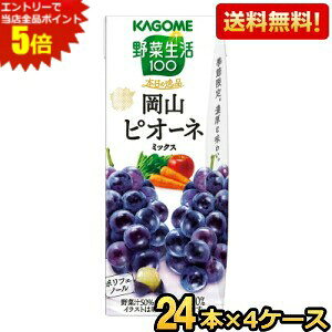 Gg[őSi|Cg5{yz JS ؐ100 {̈i RsI[l~bNX 195mlpbN 96{(24{×4P[X) ؃W[X ₳W[X Ԃǂ kC800~Ek