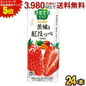 Gg[őSi|Cg5{JS ؐ100 {̈i 錧Ygق؃~bNX 195mlpbN 24{ ؃W[X ₳W[X   Gߌ