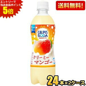 Gg[őSi|Cg5{yzATq JsX\[_ N[~[}S[ 500mlybg{g 48{(24{×2P[X) asahi2505 kC800~Ek400~̕ʓrZ [39Vbv]