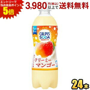 JsX\[_ N[~[}S[ 500ml×24{ PET