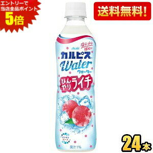 Gg[őSi|Cg5{yzATq JsXEH[^[ Ђ胉C` 490mlybg{g 24{ MǑ΍ kC800~Ek400~̕ʓrZ