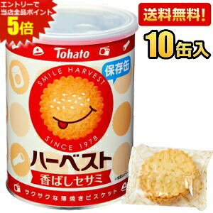 Gg[őSi|Cg5{׎̏oׁyzng n[xXgۑ 8(32)×10ʓ ЊQ~H ۑH H 5NԂ̒ۑ kC800~Ek400~̕ʓrZ [39