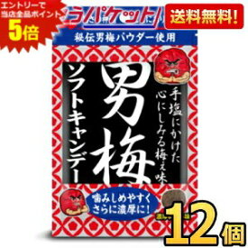 エントリーで当店全品ポイント5倍★ゆうパケット送料無料 ノーベル 男梅ソフトキャンデー 35g×12袋(6袋×2ボール) うめ ソフトキャンディー