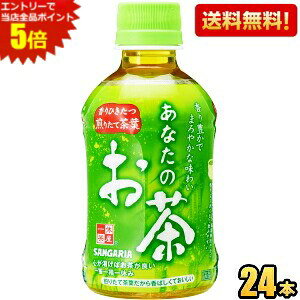 Gg[őSi|Cg5{yzTKA Ȃ̂ 280mlybg{g 24{ Β ݐ؂TCY kC800~Ek400~̕ʓrZ