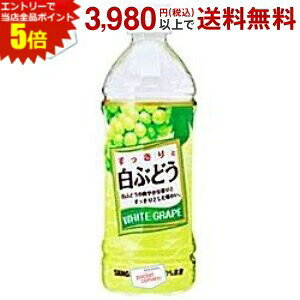 Gg[őSi|Cg5{TKA ƔԂǂ 500mlybg{g 24{