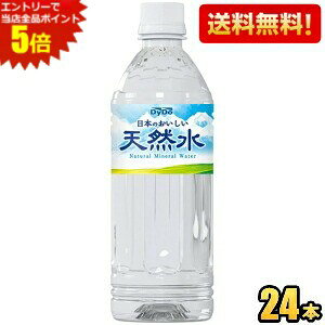 Gg[őSi|Cg5{yz_Ch[ {̂VR 500mlybg{g 24{ ~lEH[^[  { mˎs̐ kC800~Ek400~̕ʓr