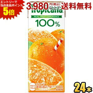 Gg[őSi|Cg5{L gsJ[i100 IW 250mlpbN 24{ (ʏ`100) kirin2024cpkC800~Ek400~̕ʓrZ