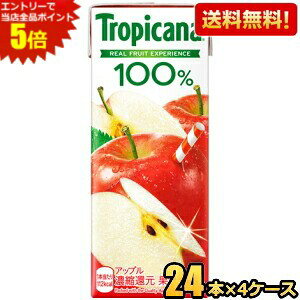 Gg[őSi|Cg5{yzL gsJ[i100 Abv 250mlpbN 96{(24{×4P[X) ʏ`100% Abv W[X  kC800~Ek400~̕ʓrZ [3