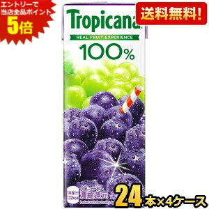 Gg[őSi|Cg5{yzL gsJ[i100 O[v 250mlpbN 96{(24{×4P[X) ʏ`100% Ԃǂ kC800~Ek400~̕ʓrZ [39Vbv] kirin2024cp