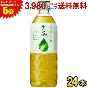 Gg[őSi|Cg5{L y̔@pz 555mlybg{g 24{  Β