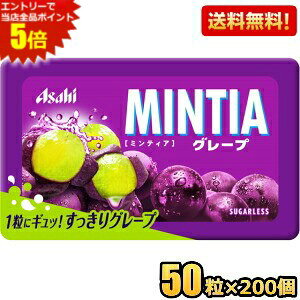 Gg[őSi|Cg5{y200:P[X̔zATqt[h ~eBA O[v 50×200 MINTIA ~g ^ubgَq Ԃǂ  ܂Ƃߔ  kC800~Ek40