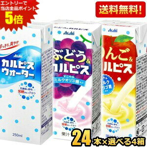 Gg[őSi|Cg5{Ԍyz JsX 250mlpbN Iׂ4P[X v96{(24{×4P[X)Zbg t[cJsX JsXEH[^[ ԂǂJsX 