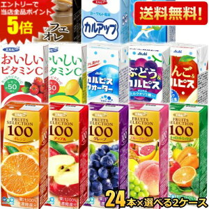 Gg[őSi|Cg5{Ԍyz Gr[pbN Iׂ2P[X v48{Zbg ʏ`100%W[X C1000 X|[chN JtFI 200ml 250ml ؃W[X k