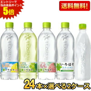 Gg[őSi|Cg5{ԌyzRJR[ ͂t[o[hNIׂg (VR  }XJbg ƃ) 48{Zbg(24{×2ACe) (Y_ 