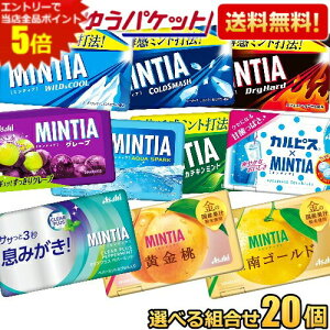 y䂤pPbg:20Zbgz~eBA Iׂg 50×20(10×2) MINTIA ~g ^ubgَq ChN[ R[hX}bV hCn[h JeL O[v ANAX