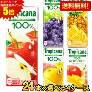 yzL gsJ[i Y ߌ̍g  ʍ 200ml 250mlpbN 96{Zbg(24{×Iׂ4P[X) ʏ`100 W[X ؃W[X R[q[ t@CA FIRE TROPICANA 