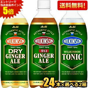 yzATq EBL\ IׂY_Zbg WWG[ hCWWG[ gjbN 500mlybg{g 48{(24{×2P[X) WW[G[ DRY GINGER ALE h ̂܂