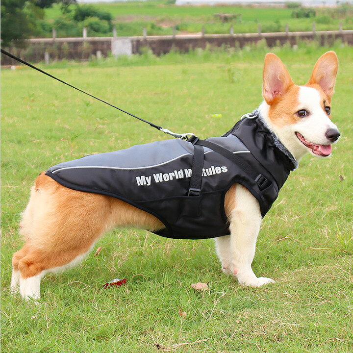楽天市場 犬服 ドッグウェア ジャケット ハーネス一体型ジャンパー ハーネス 大型犬 中型犬 犬の服 防寒着 冬 コート ベスト オシャレ 重ね着 厚手 大人気 防寒対策 職人手作り犬服のポコポコ 楽天市場 犬服 ドッグウェア ジャケット ハーネス一体型ジャンパー ハーネス 大型犬 中型犬 犬の服 防寒着 冬 コート ベスト オシャレ 重ね着 厚手 大人気 防寒対策 職人手作り犬服のポコポコ