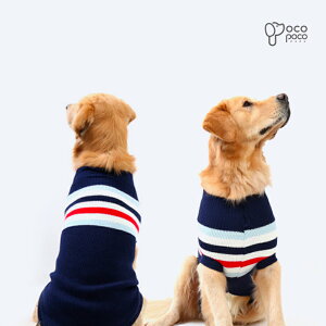 ySi|Cg5{z t g H~ Z[^[   hbOEGAybgEFA   킢 OBe o lC ybg  IV