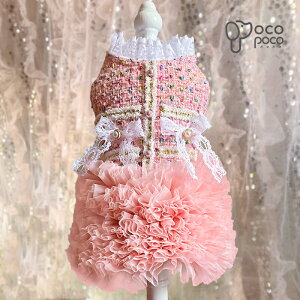 ySi|Cg5{z t  hX s[X `[ { eBA[h hbOEGA EFfBOhX p[eB[hX  Pl vZX 