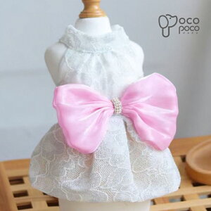 yX[p[SALEzz t 茢 s[X hbOEFA nhCh  El ybg rbO| v[g ybgEFA lC CX^f V  