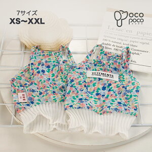  t  ĕ ^ L~\[   ̕ hbOEFA [X tt ^Ngbv Ȃ m[X[u    ̎q j lC CX^f v