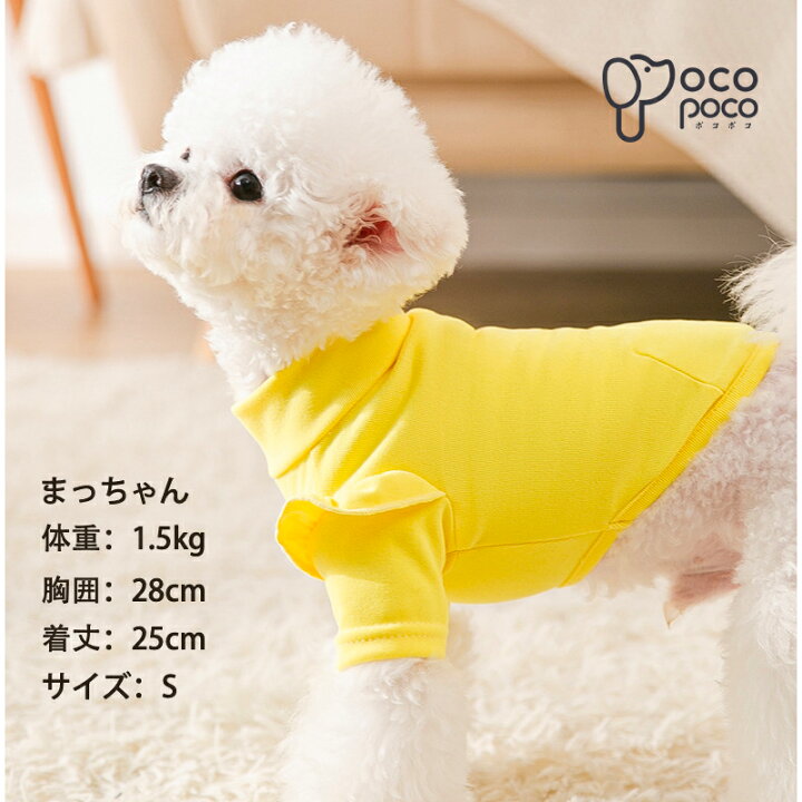 楽天市場】【エントリーで最大100％ポイントバック】犬服 春 秋冬 小型 