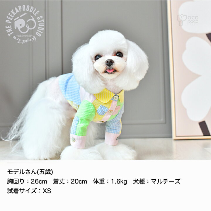 楽天市場】犬服 春 【楽天ランキング1位】犬 夏服 可愛い ペット服 