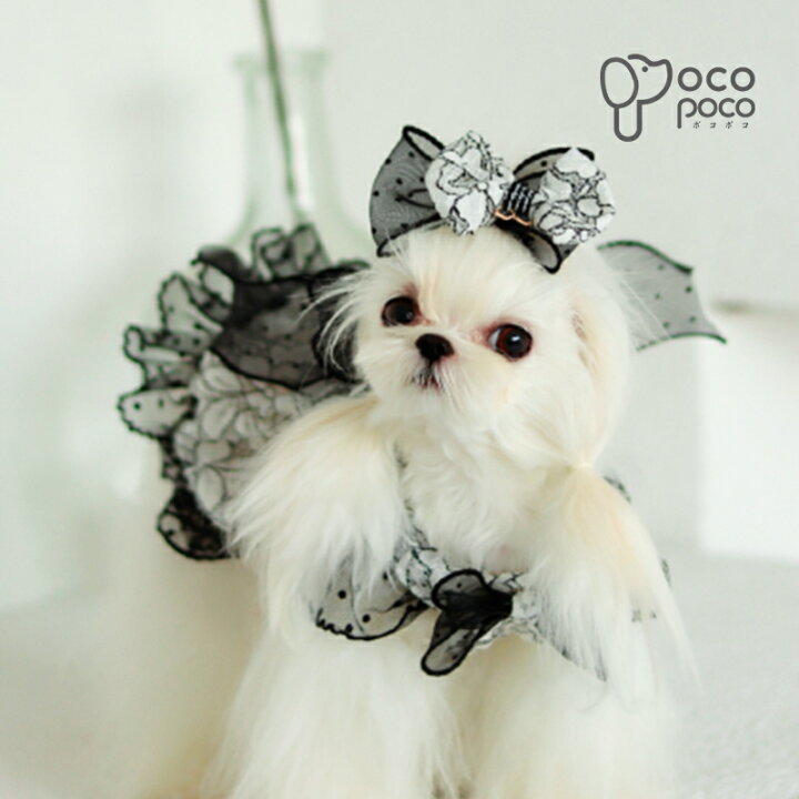 楽天市場】【全商品ポイント5倍】犬服 春 小型犬 手作り犬服 